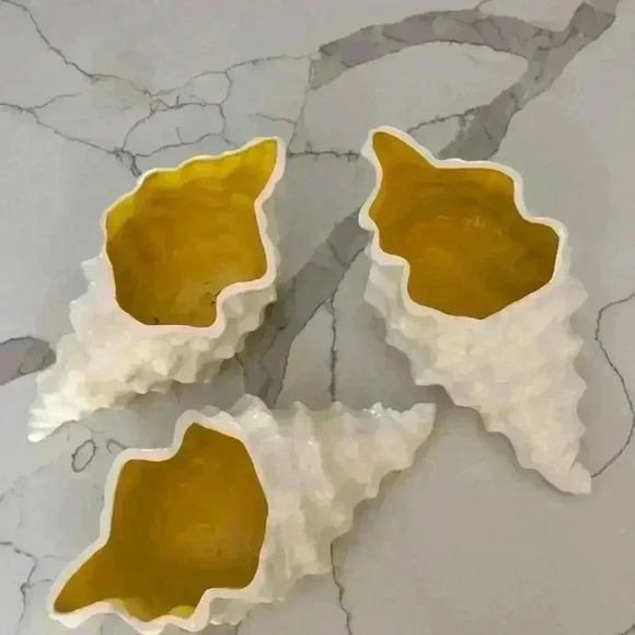 CREATIVE CERAMICS SET OF 3 BEAUTIFUL CONCH SHELLS 12”x 6” Each - Picture 2 of 6